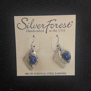 Silver Forest Silver and Blue Earrings